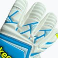 Torwarthandschuhe 4keepers Force V1.25 FURY HNC Blaue 4