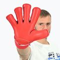 Torwarthandschuhe 4keepers Force V4.25 RF2G Rot 10