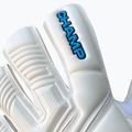Torwarthandschuhe 4keepers Champ Aqua VII RF2G white 4