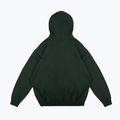 Herrenpullover PROSTO Biolog Hoodie khaki 2