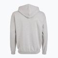 Herren PROSTO Hoodie Logo Zip grau 2