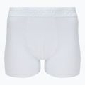 PROSTO Herren-Boxershorts KL252MACC 3 Paar mehrfarbig 6