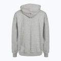 Herrenpullover PROSTO Chicago Hoodie grau 2