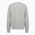 Herrenpullover PROSTO Old Logo Crewneck gray 2