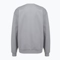 Herrenpullover PROSTO Big Shield Crewneck gray 2
