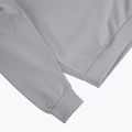 Herrenpullover PROSTO Big Shield Crewneck gray 4