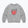 Herrenpullover PROSTO Big Shield Crewneck gray