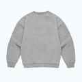 Herrenpullover PROSTO Big Shield Crewneck gray 2