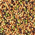 Pellets für Futterköder Prestige Fischmehl Sweet 2 mm 800 g FB11-10 2