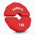 HMS-Auflagegewicht TSN100 2 x 1 kg rot 2
