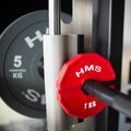 HMS-Auflagegewicht TSN100 2 x 1 kg rot 4