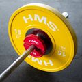 HMS-Auflagegewicht TSN100 2 x 1 kg rot 7