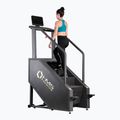 Trainingsstufen HMS ST01 Commercial Premium 7