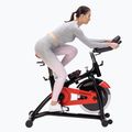 Indoor Cycle HMS Sw892N schwarz-rot 17-9-7 8