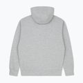 Herrenpullover MANTO Logo Hoody grau 2