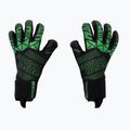 Football Masters Fenix grün Torwarthandschuhe 1160-4