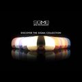 Skibrille Salomon Radium black/sigma apricot L4752 12