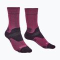 Damen-Socken Bridgedale Heavyweight Performance Boot Original berry/plum