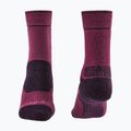 Damen-Socken Bridgedale Heavyweight Performance Boot Original berry/plum 2