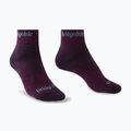 Damen-Trekkingsocken Bridgedale Hike Midweight Performance Ankle dark purple
