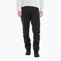 Arc'teryx Beta Herren-Membranhose schwarz X000007189015