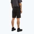 Arc'teryx Herren-Trekking-Shorts Gamma Lightweight 9" schwarz X000006955044 3