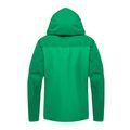 Herren Arc'teryx Beta AR Regenjacke grün X000007339044 2