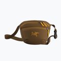 Arc'teryx Mantis 1 Waist Pack Reliktnierentasche