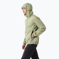 Arc'teryx Atom Hoody Herren Isolierjacke Chloris 3