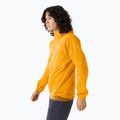Arc'teryx Squamish Hoody Herren Windjacke edziza 3