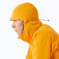 Arc'teryx Squamish Hoody Herren Windjacke edziza 4
