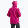 Arc'teryx Beta Damen Regenjacke amaranthus/edziza 2