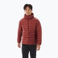 Arc'teryx Cerium Hoody Herren Daunenjacke sequoia/solaris