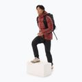 Arc'teryx Cerium Hoody Herren Daunenjacke sequoia/solaris 2