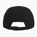 Basecap Arc'Teryx Bird Wood 24k black 2