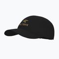 Basecap Arcteryx Bird Wood 24k black 3