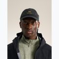 Basecap Arcteryx Bird Wood 24k black 5