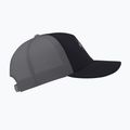 Arcteryx Bird Word Trucker Baseballmütze schwarz /Wolke 4