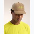 Arc'teryx Bird Word Trucker Cap Canvas/Euphoria 6