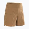 Arc'Teryx Aestas Canvas Trekking-Shorts 6