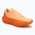 Arc'teryx Norvan LD 4 luminary / verve Damen Laufschuh