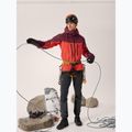 Herren Regenjacke Arc'teryx Alpha Mars/Dynasty 10