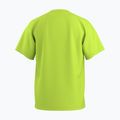 Herren-Shirt Arcteryx Kragg SL Cotton mantis 2