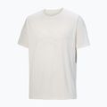 Herren-Shirt Arc'Teryx Cormac Logo arctic silk 5