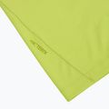 Herren-Shirt Arcteryx Cormac Logo mantis 3