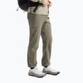 Herren-Trekkinghose Arc'teryx Gamma SL forage 4