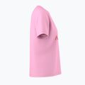 Damen-T-Shirt Arcteryx Kragg SL Cotton Heatmap Crew pineberry 4
