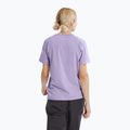 Damen-T-Shirt Arcteryx Kragg Sl Cotton Emblem Crew mallow 2