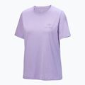 Damen-T-Shirt Arc'teryx Kragg Sl Cotton Emblem Crew mallow 4