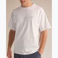 Herren-Shirt Arcteryx Kragg Cotton Emblem Crew SS white light 6